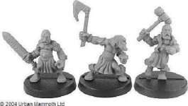 GUERRIERS NAINS SET 1 VANIR