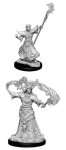 MALE HUMAN SORCERER PATHFINDER