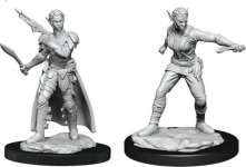 SHIFTER ROGUE FEMALE - D&D NOLZUR'S MARVELOUS MINIATURES