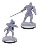 REBORN PALADIN & WARLOCK NOLZU