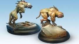 PACK DOGUE CHITINEUX