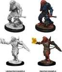 MALE DRAGONBORN PALADIN D&D