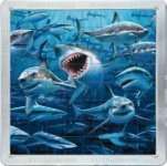 3D MEGA MAGNETIQUE - REQUINS