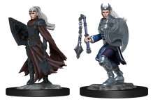 KALASHTAR CLERIC FEMALE