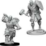 MALE GOLIATH FIGHTER - D&D NOLZUR'S MARVELOUS MINIATURES