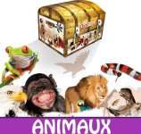 KIT ANIMAUX 6-8 ANS 8 ENFANTS