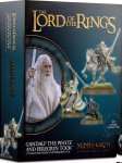 GANDALF THE WHITE & PEREGRIN TOOK