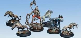 PACK MAITRE DES BETES