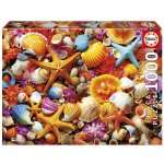 PUZZEL 1000 PIECES COLLAGE DE COQUILLAGES