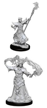 MALE HUMAN SORCERER PATHFINDER