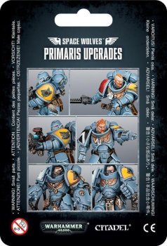SPACE WOLVES PRIMARIS UPGRADE