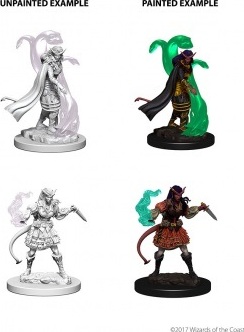 TIEFLING FEMALE SORCERER - D&D Nolzur’s Marvelous Miniatures