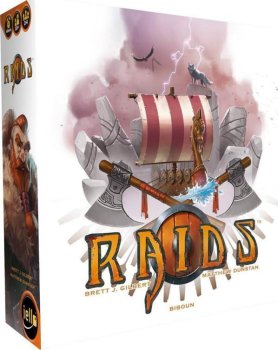 RAIDS