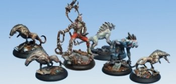 PACK MAITRE DES BETES