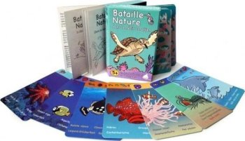 BATAILLE NATURE RECIF CORAIL