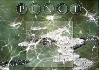 PUNCT