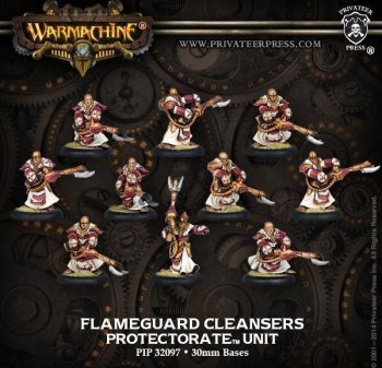 FLAMEGUARD CLEANSERS