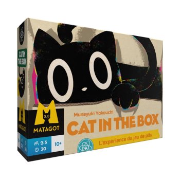 CAT IN THE BOX