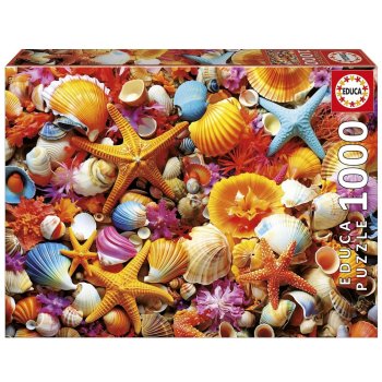 PUZZEL 1000 PIECES COLLAGE DE COQUILLAGES
